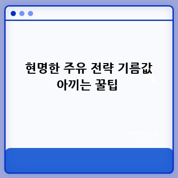  현명한 주유 전략 기름값 아끼는 꿀팁