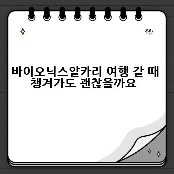 바이오닉스알카리 여행 갈 때 챙겨가도 괜찮을까요 