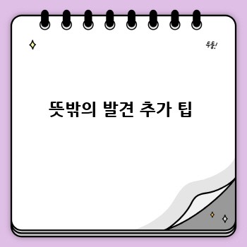 뜻밖의 발견 추가 팁