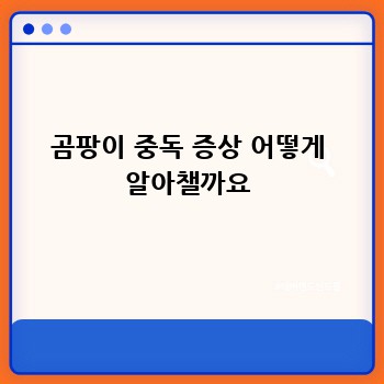 곰팡이 중독 증상 어떻게 알아챌까요