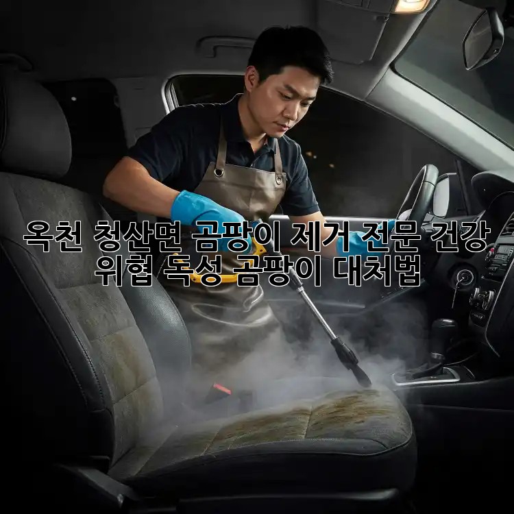 옥천 청산면 곰팡이 제거 전문: 건강 위협, 독성 곰팡이 대처법
