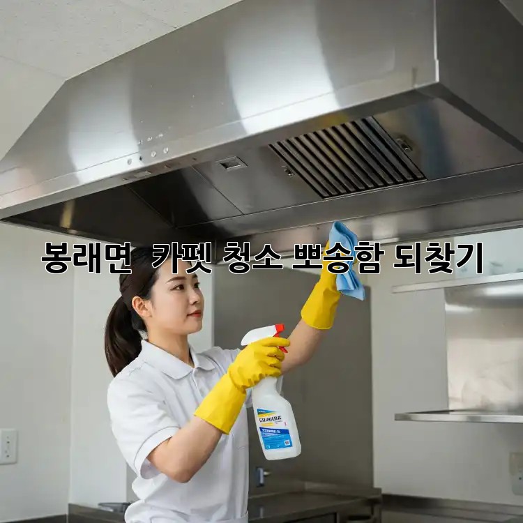 봉래면 🏡 카펫 청소, 뽀송함 되찾기 ✨
