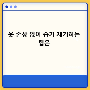 옷 손상 없이 습기 제거하는 팁은